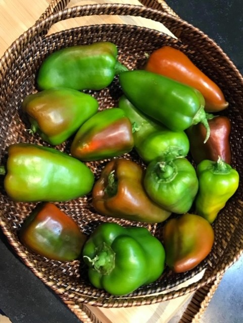 Benefits of Peppers  Benefits of Bell Peppers